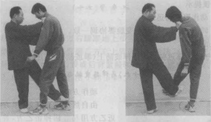 图片187