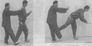 图片215