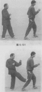 图片216