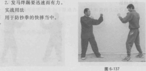 图片244