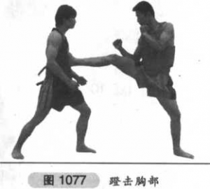 图片16
