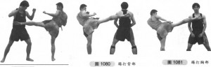 图片18