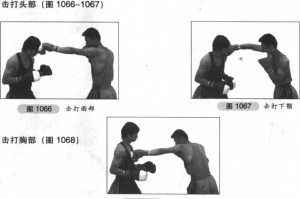 图片10