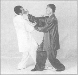图片9