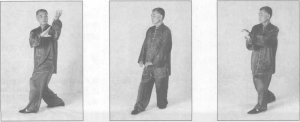 图片49