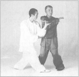图片17