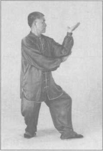 图片15