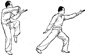 40