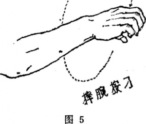 图片4