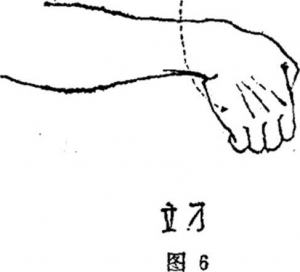 图片5
