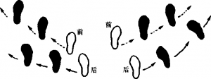 图片12