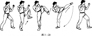 图片20