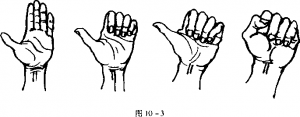 图片102