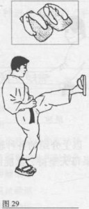 31