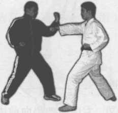 36
