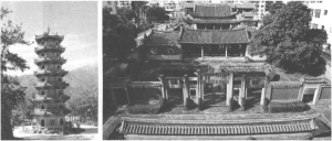 图片8