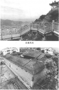图片13