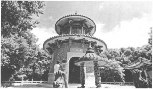 图片14