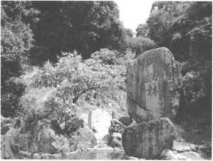 图片15