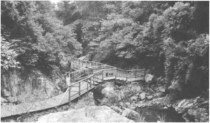 图片20