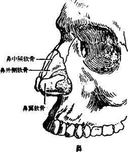 图片8