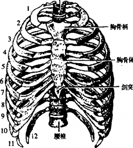 图片9