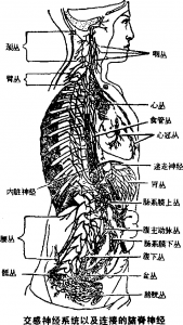 图片11