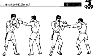 图片43