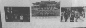 图片50
