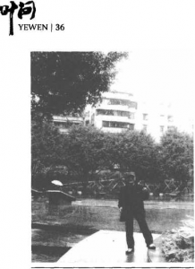 图片24