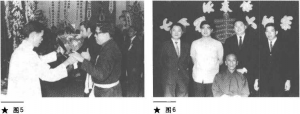 图片28