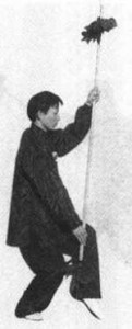 29