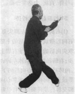 图片95