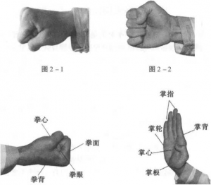 图片1
