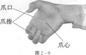 图片5