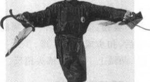 31