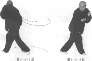 图片152