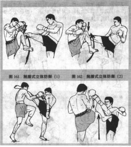 图片48