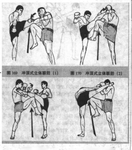 图片51