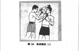 图片61