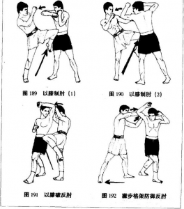 图片62