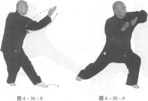 图片388