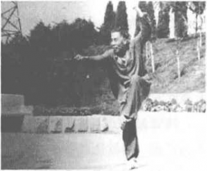 图片14
