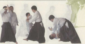 图片49