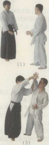 图片100