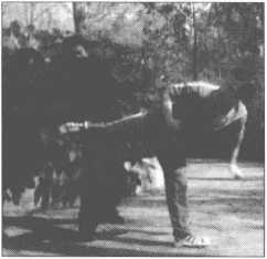 图片136