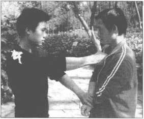 图片156