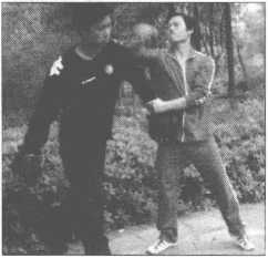 图片196