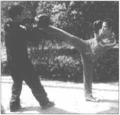 图片201