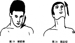 图片7